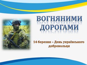 Добровольці